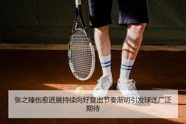 张之臻伤愈进展持续向好复出节奏渐明引发球迷广泛期待
